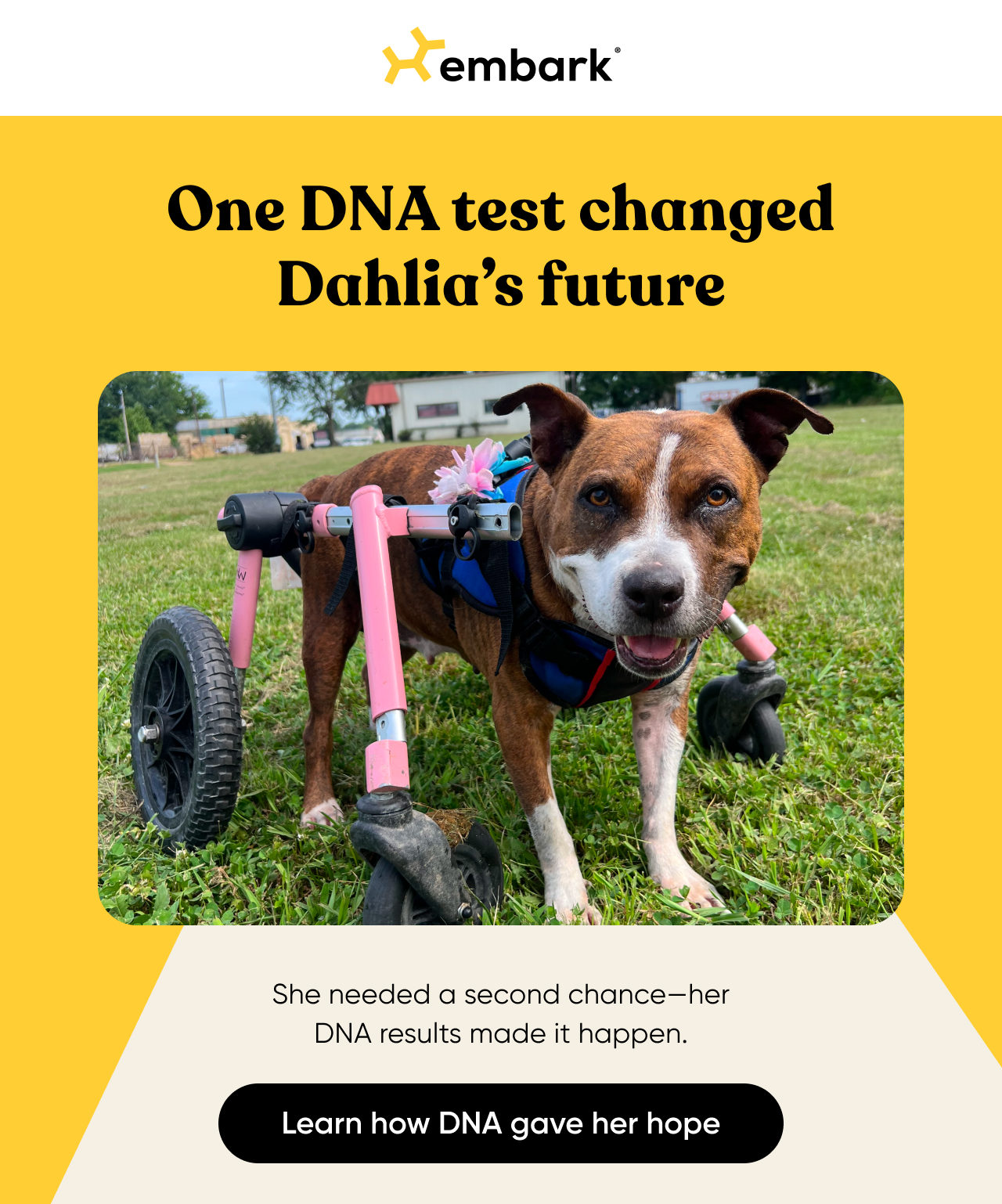 Learn how Dahlia's DNA results gave hope for the future