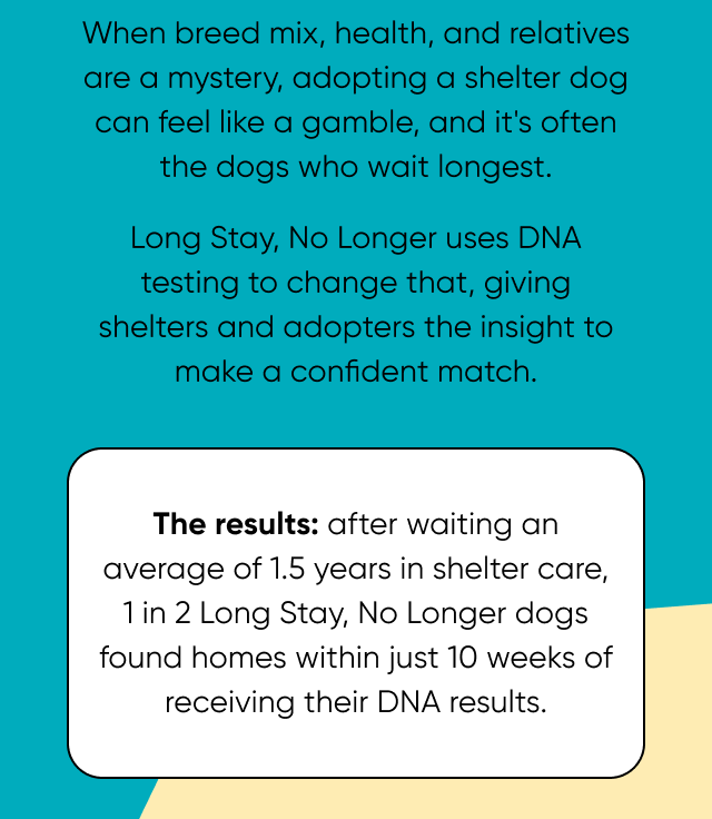 How DNA testing helps shelter dogs go home. Long Stay, No Longer turns uncertainty into a way home. When breed mix, health, and relatives are a mystery, adopting a shelter dog can feel like a gamble, and it's often the dogs who wait the longest. Long Stay, No Longer uses DNA testing to change that, giving shelters and adopters the insight to make a confident match. The results: after waiting an average of 1.5 years in shelter care, 1 in 2 Long Stay, No Longer dogs found homes within just 10 weeks of receiving their DNA results.