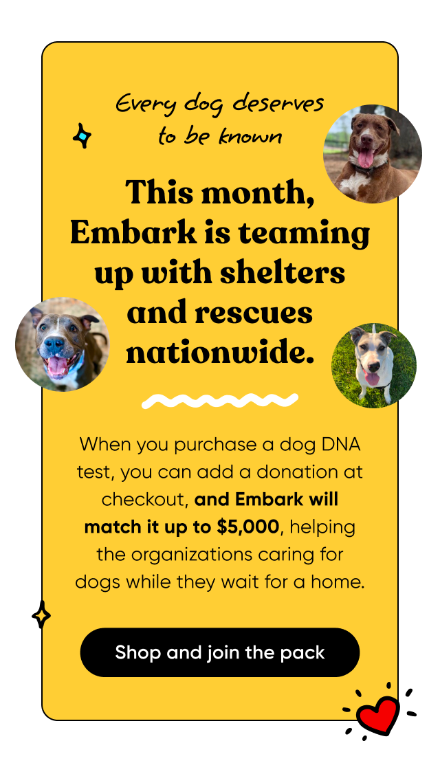 Every dog deserves to be known. This month, Embark is teaming up with shelters and rescues nationwide. When you purchase a dog DNA test, you can add a donation at checkout, and Embark will match it up to $5,000, helping the organizations caring for dogs while they wait for a home. Shop and be part of the pack.