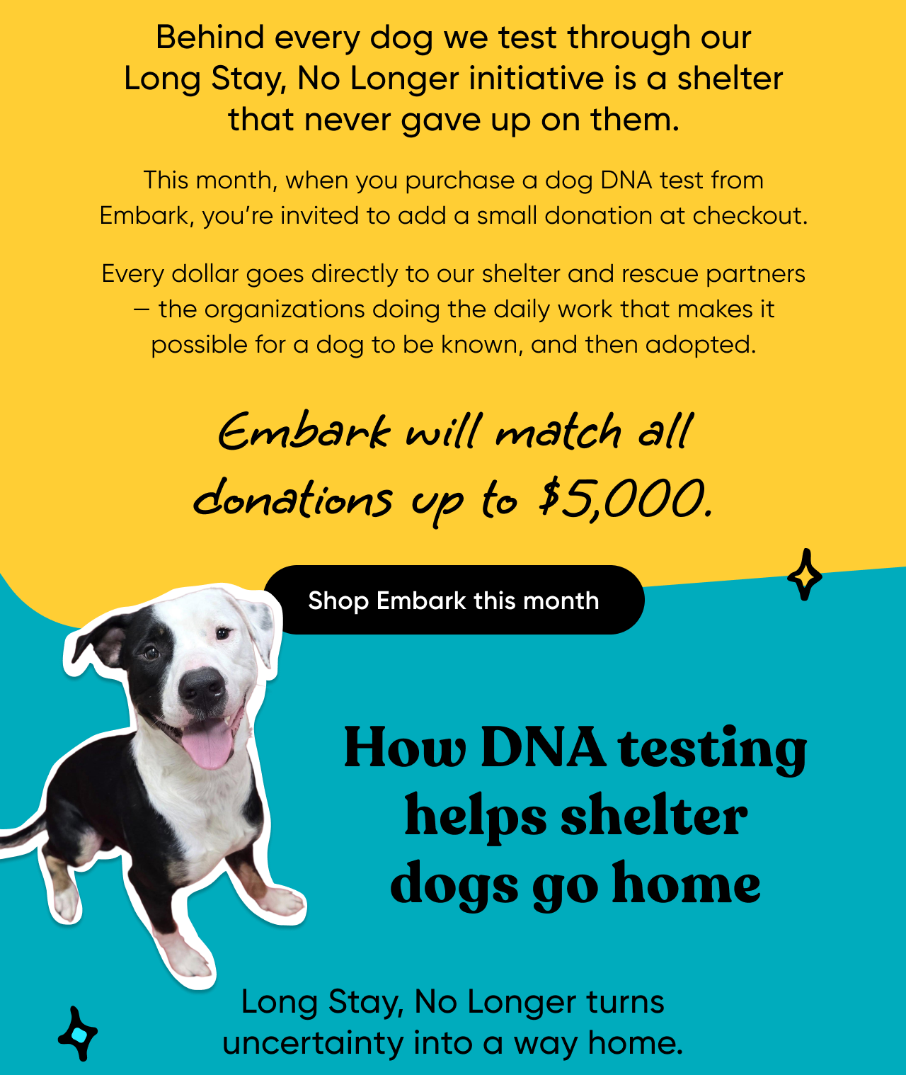 Behind every dog we test through our Long Stay, No Longer initiative is a shelter that never gave up on them. This month, when you purchase a dog DNA test from Embark, you're invite to add a small donation at checkout. Every dollar goes directly to our shelter and rescue partners, the organizations doing the daily work that makes it possible for a dog to be known. and then adopted. Embark will match all donations up to $5,000. Shop Embark this month.