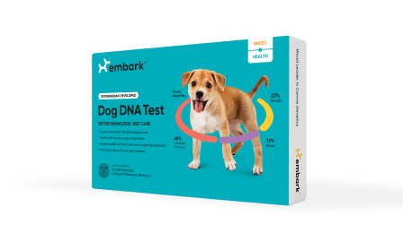 Embark Breed + Health Test