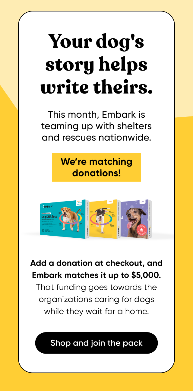 Your dog's story helps write theirs. This month, Embark is teaming up with shelters and rescues nationwide. We're matching donations! Add a donation at checkout and we'll match it up to $5,000. That funding goes towards the organizations caring for dogs while they wait for a home. Shop and be part of the park.