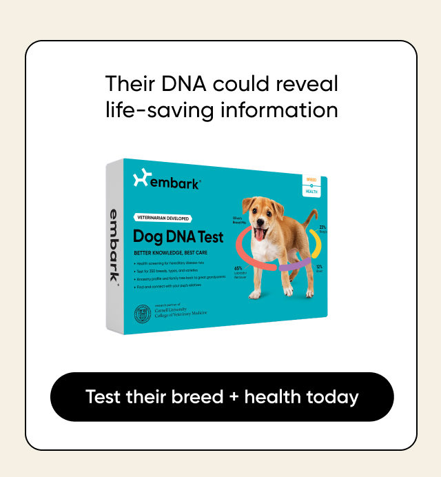 Their DNA could reveal life-saving information 