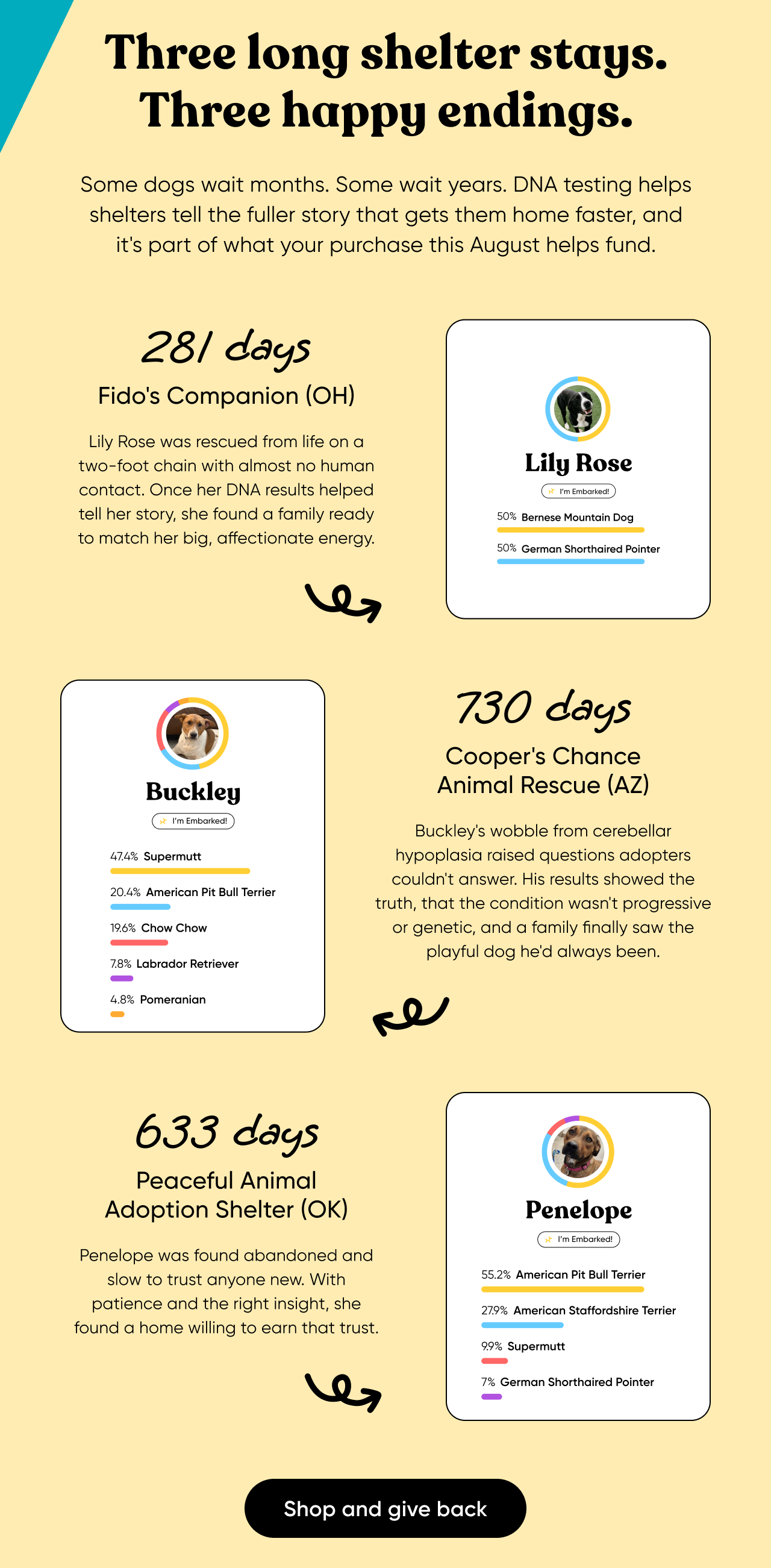 Three long shelter stays. Three happy endings. Some dogs wait months. Some wait years. DNA testing helps shelters tell the fuller story that gets them home faster, and it's part of what your purchase this month helps funds. Shop and give back.