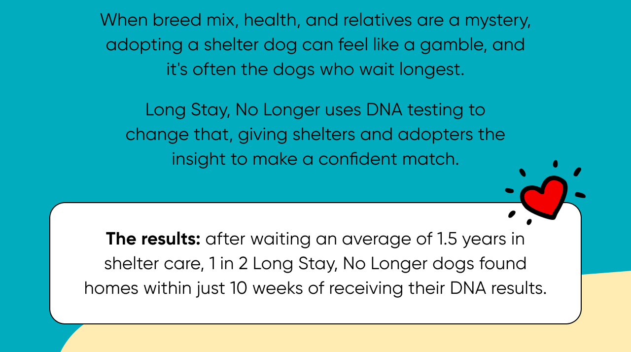 How DNA testing helps shelter dogs go home. Long Stay, No Longer turns uncertainty into a way home. When breed mix, health, and relatives are a mystery, adopting a shelter dog can feel like a gamble, and it's often the dogs who wait the longest. Long Stay, No Longer uses DNA testing to change that, giving shelters and adopters the insight to make a confident match. The results: after waiting an average of 1.5 years in shelter care, 1 in 2 Long Stay, No Longer dogs found homes within just 10 weeks of receiving their DNA results.