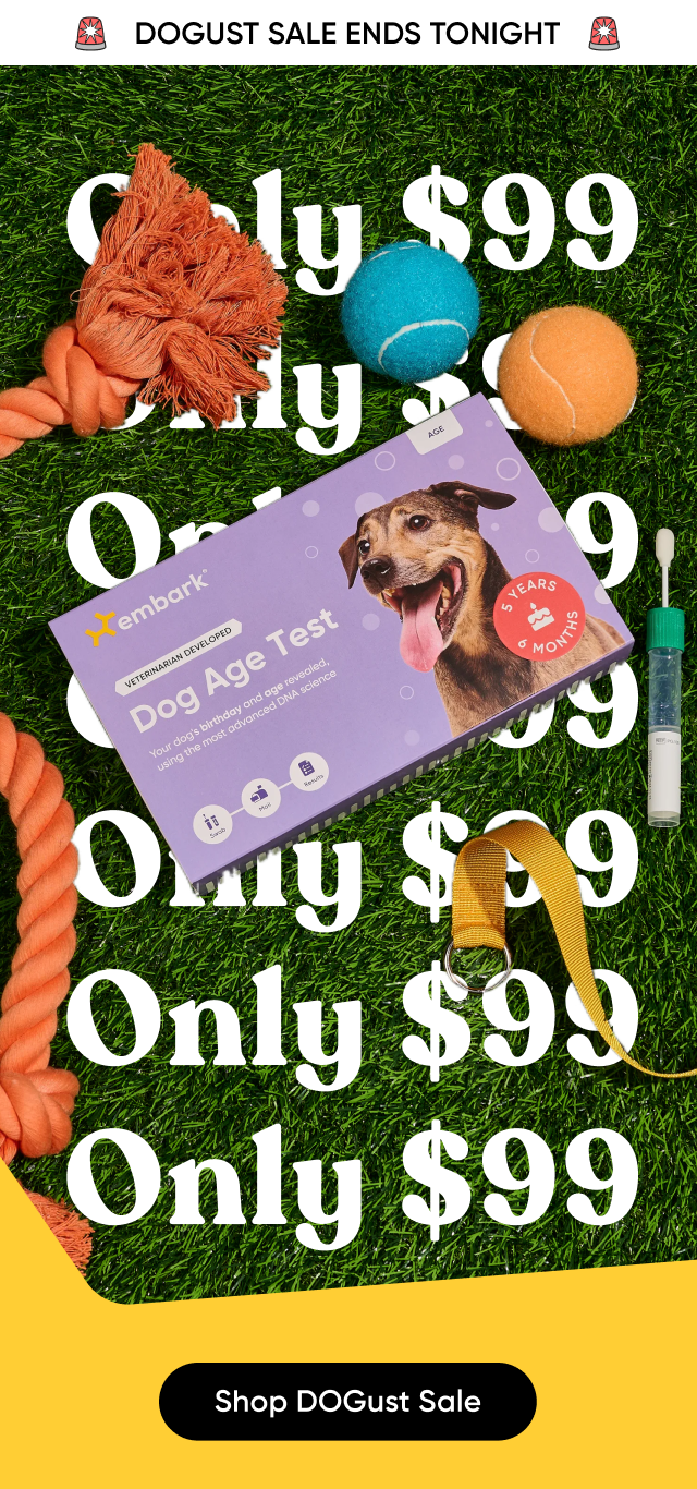DOGust Sale ends tonight! Only $99. Shop now.
