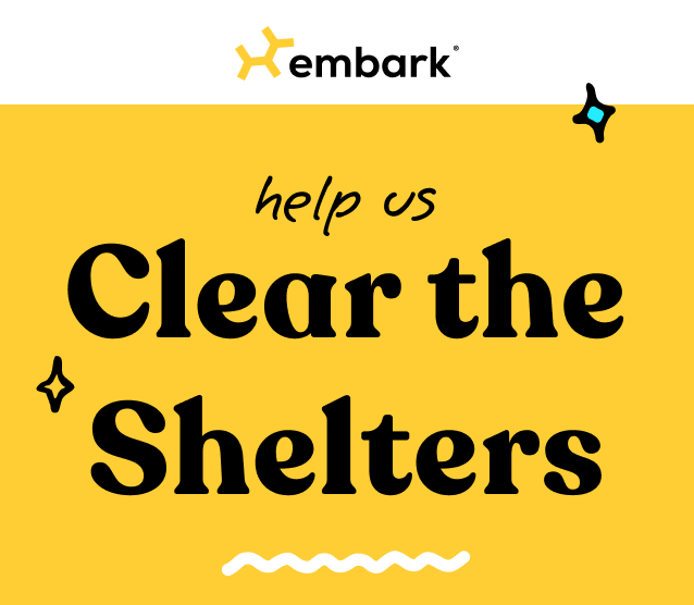 Help us Clear the Shelters