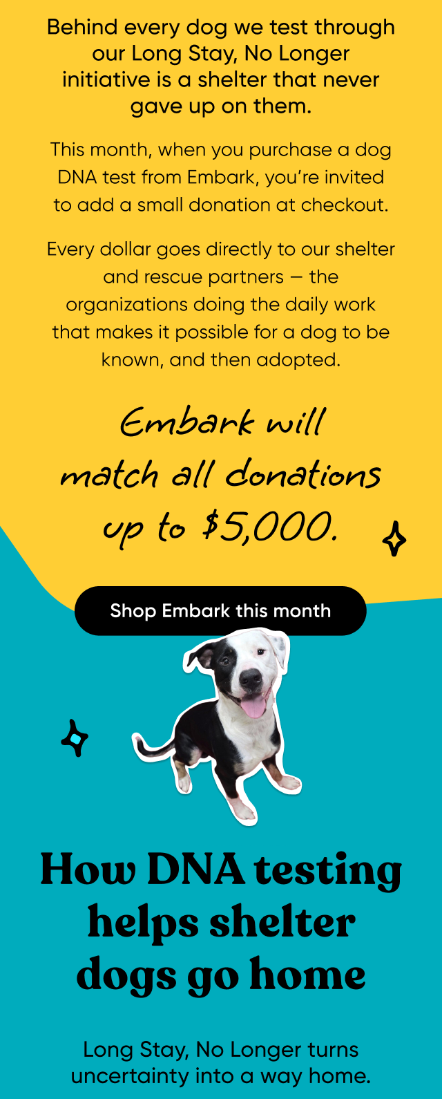 Behind every dog we test through our Long Stay, No Longer initiative is a shelter that never gave up on them. This month, when you purchase a dog DNA test from Embark, you're invite to add a small donation at checkout. Every dollar goes directly to our shelter and rescue partners, the organizations doing the daily work that makes it possible for a dog to be known. and then adopted. Embark will match all donations up to $5,000. Shop Embark this month.