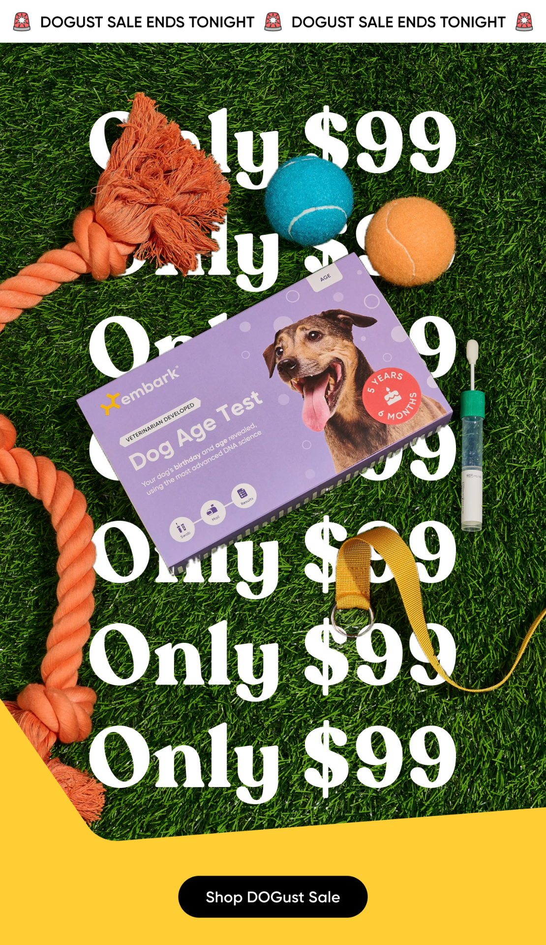 DOGust Sale ends tonight! Only $99. Shop now.