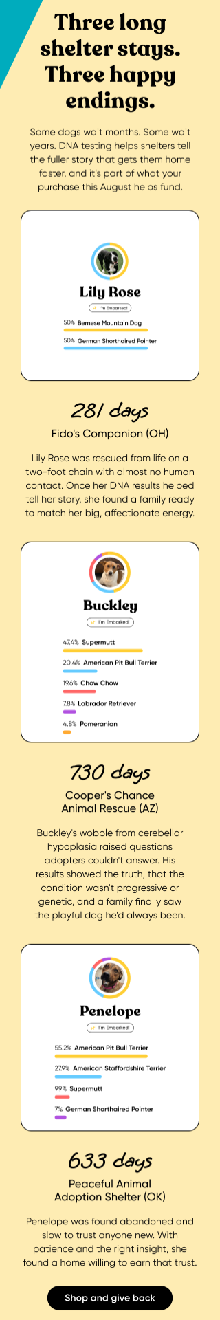 Three long shelter stays. Three happy endings. Some dogs wait months. Some wait years. DNA testing helps shelters tell the fuller story that gets them home faster, and it's part of what your purchase this month helps funds. Shop and give back.