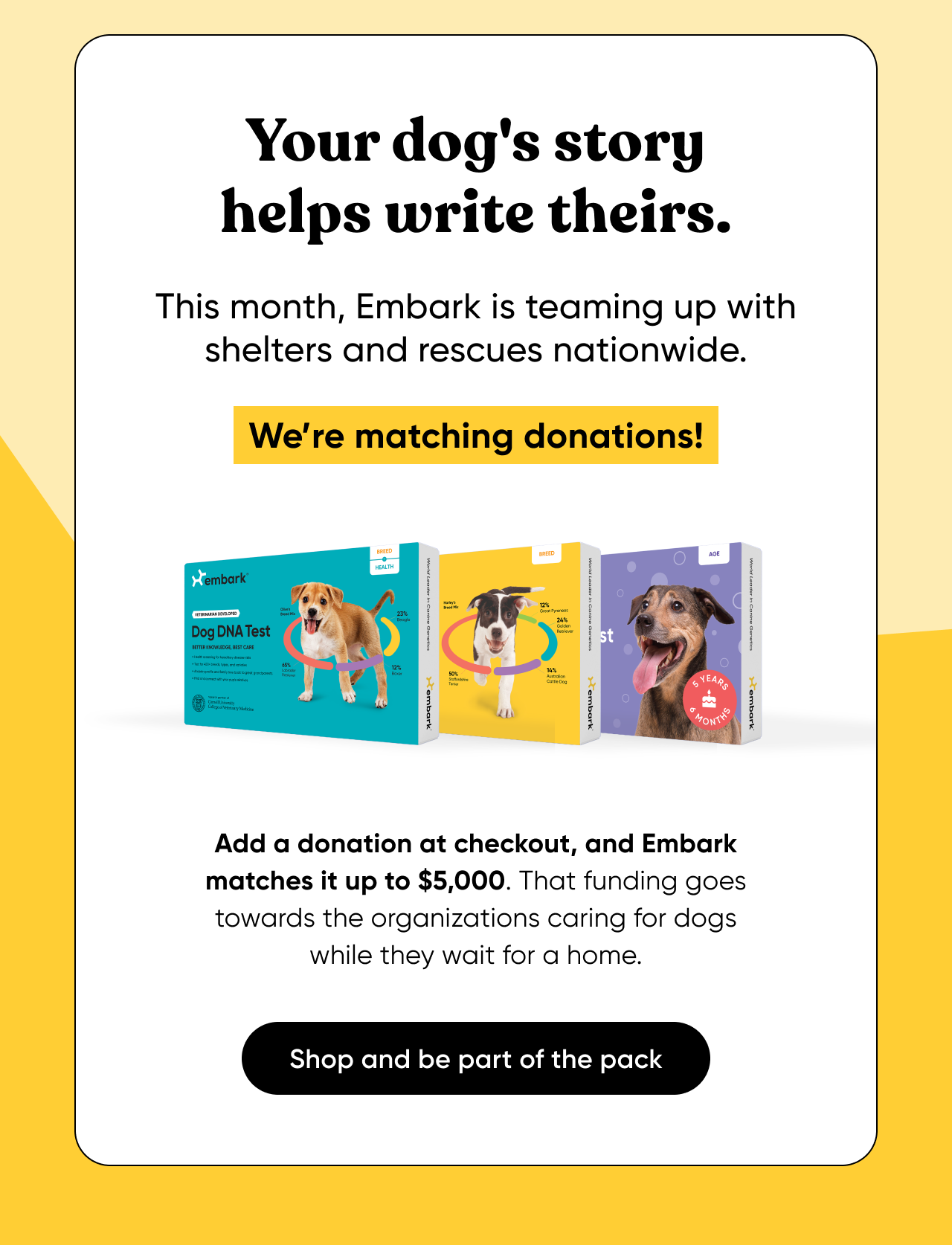 Your dog's story helps write theirs. This month, Embark is teaming up with shelters and rescues nationwide. We're matching donations! Add a donation at checkout and we'll match it up to $5,000. That funding goes towards the organizations caring for dogs while they wait for a home. Shop and be part of the park.