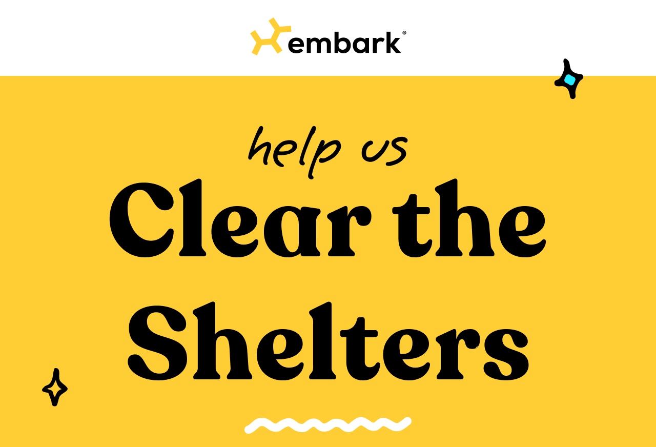 Help up Clear the Shelters
