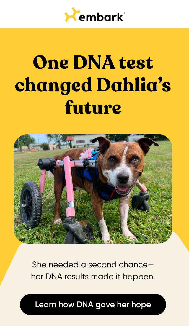 Learn how Dahlia's DNA results gave hope for the future