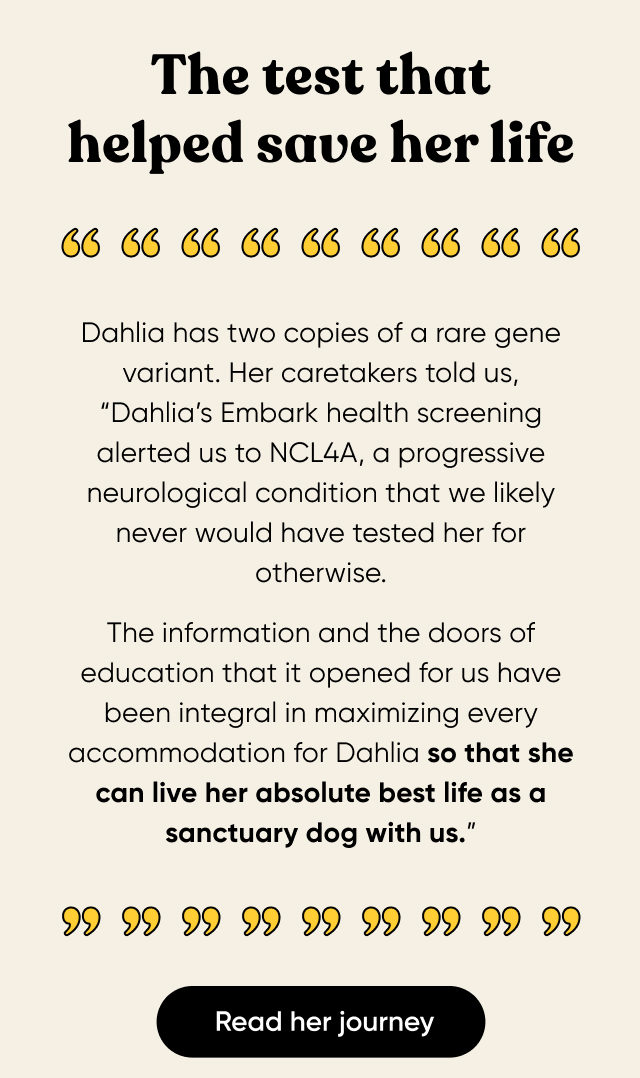 What Dahlia's DNA revealed