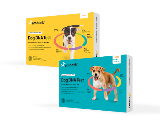 An Embark Breed + Health Test and an Embark Breed ID Test