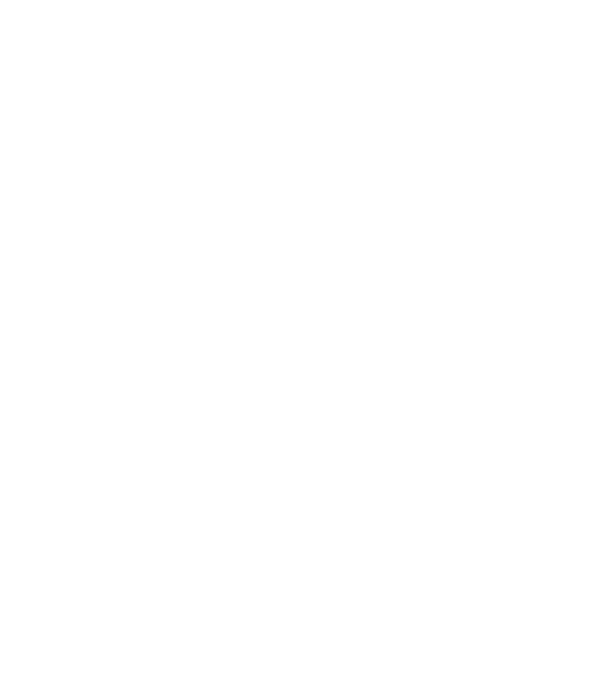 House
Freedom Fund Logo