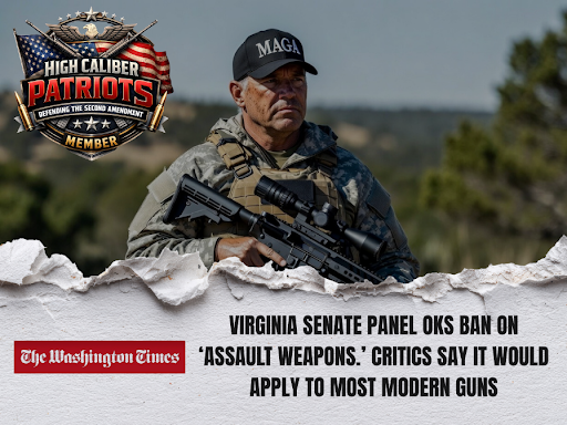 VBD Voter Verification