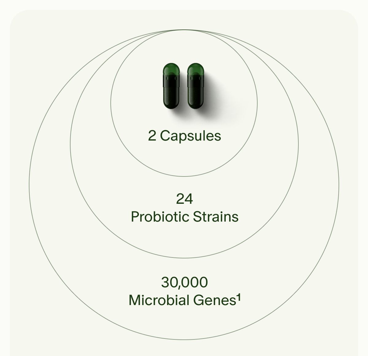 2 Capsules | 24 Probiotic Strains | 30,000 Microbial Genes¹