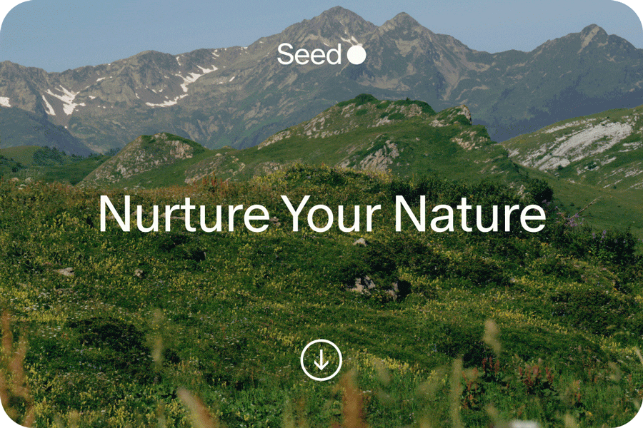 Seed | Nurture Your Nature