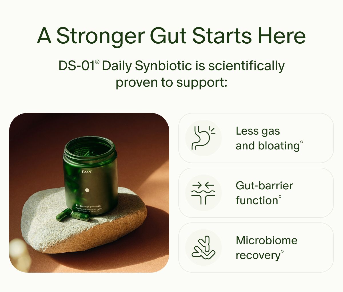 A Stronger Gut Starts Here | DS-01® Daily Synbiotic is scientifically proven to support: | Less gas and bloating° | Gut-barrier function° | Microbiome recovery°