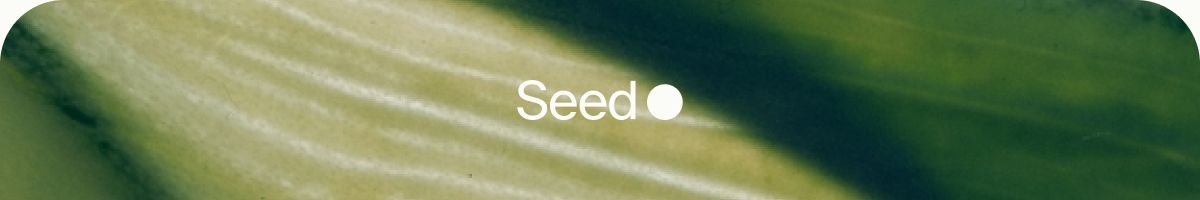 Seed