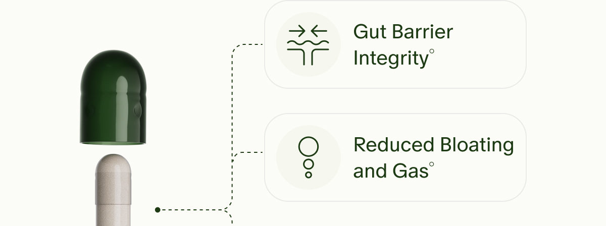 Gut Barrier Integrity° | Reduced Bloating and Gas°