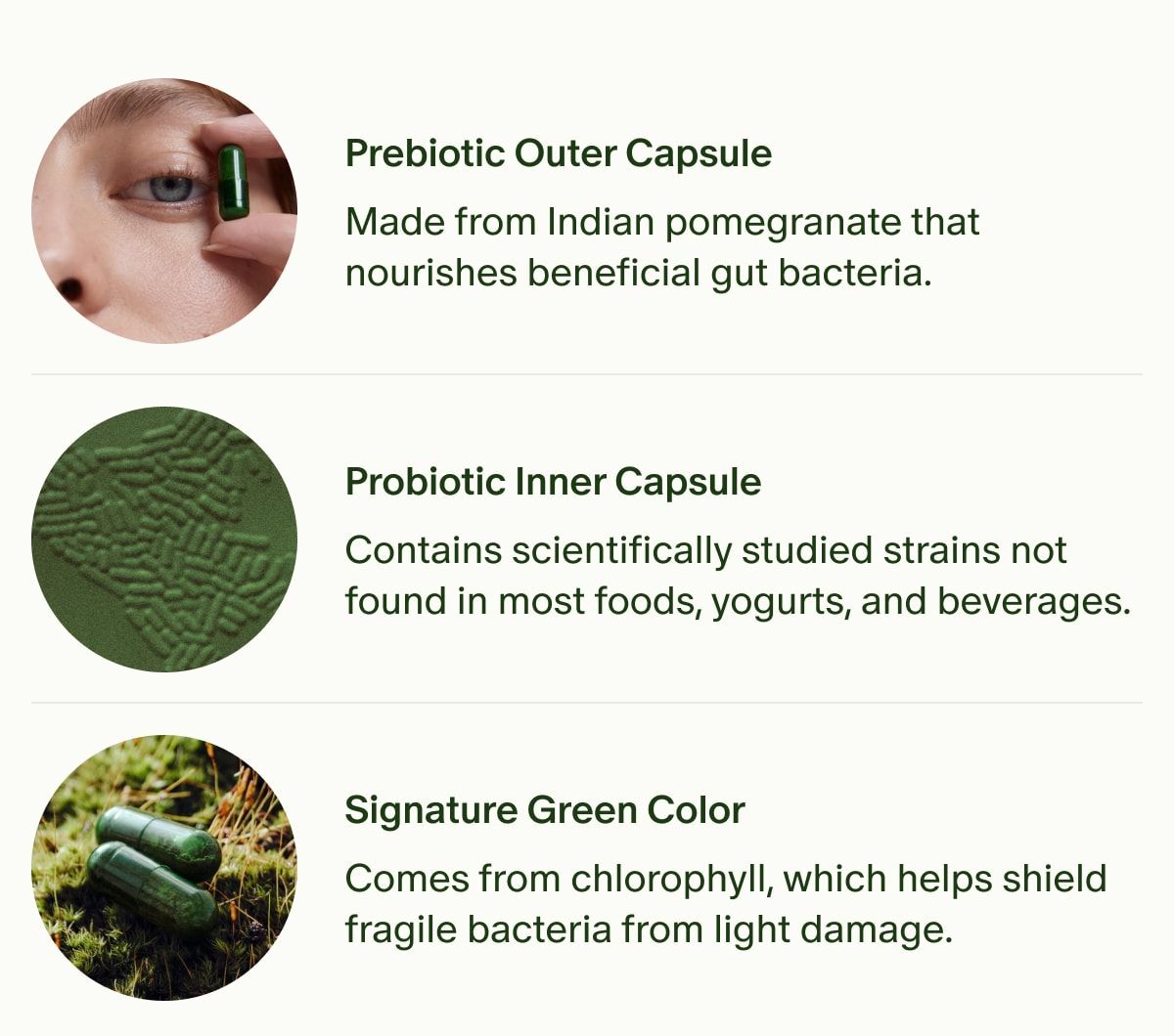 Prebiotic Outer Capsule | Made from Indian pomegranate that nourishes beneficial gut bacteria. | Probiotic Inner Capsule | Contains scientifically studied strains not found in most foods, yogurts, and beverages. | Signature Green Color | Comes from chlorophyll, which helps shield fragile bacteria from light damage.