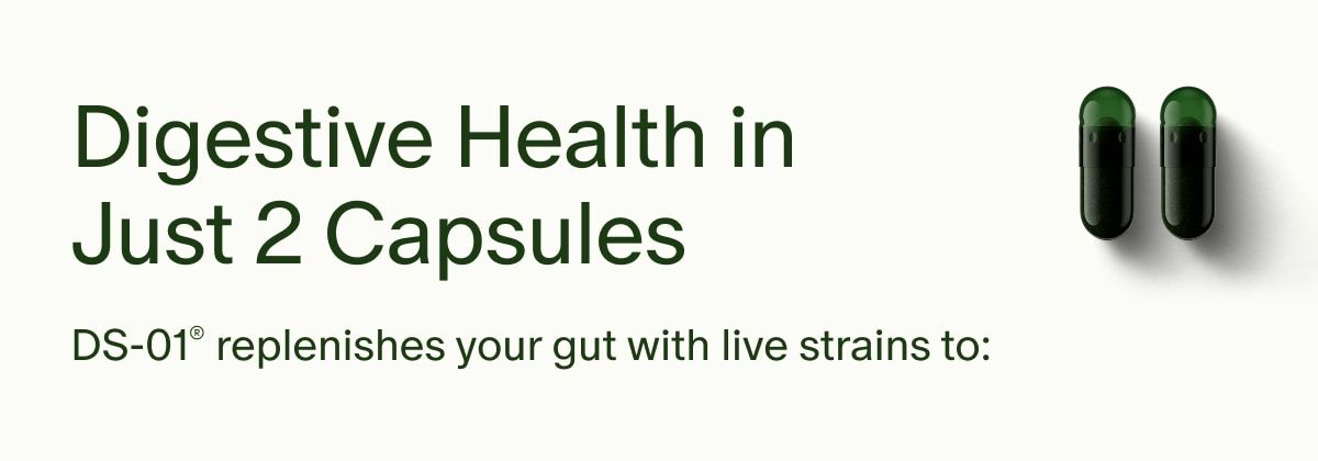 Digestive Health in Just 2 Capsules | DS-01® replenishes your gut with live strains to: