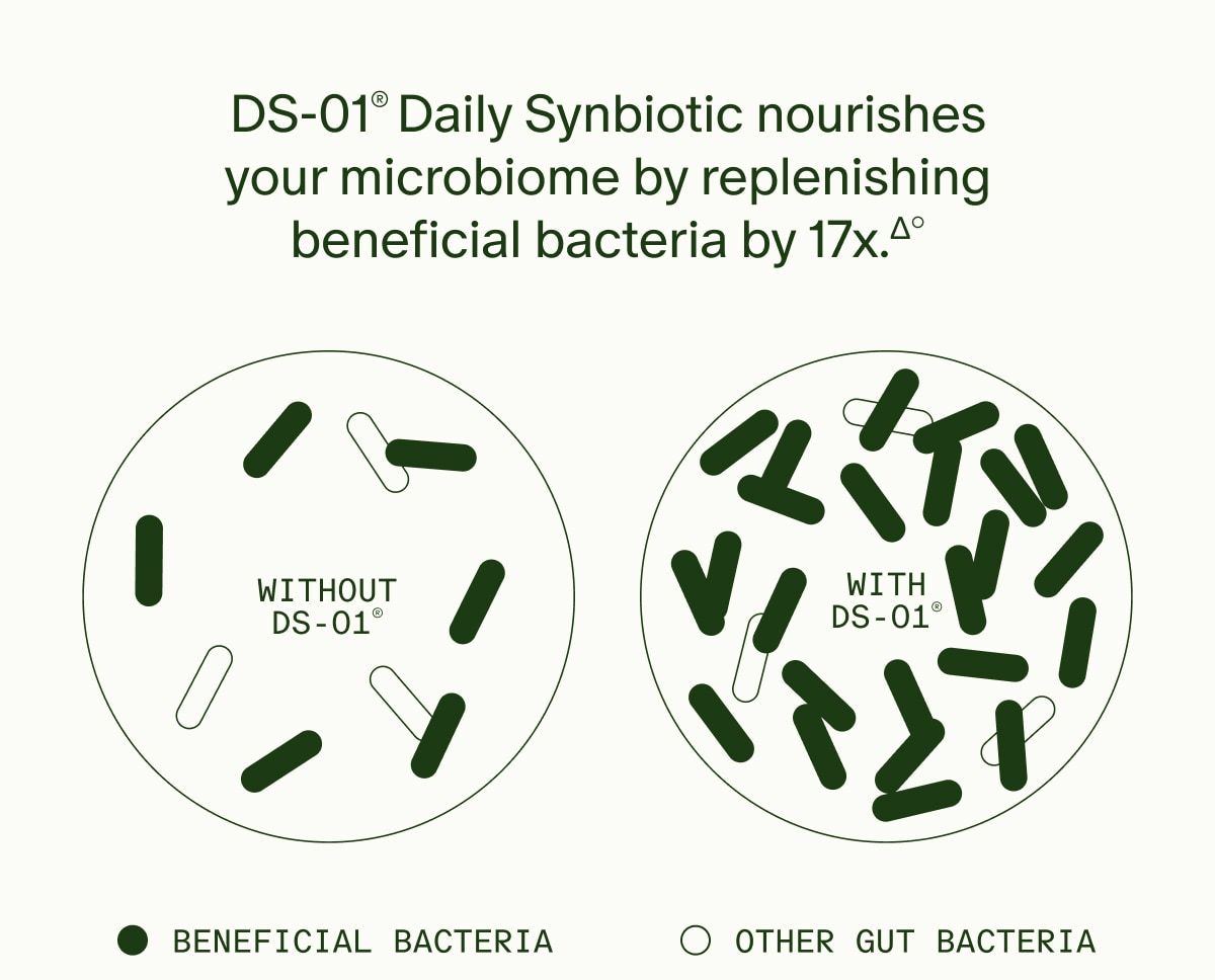 DS-01® Daily Synbiotic nourishes your microbiome by replenishing beneficial bacteria by 17x.Δ° | WITHOUT DS-01® (BENEFICIAL BACTERIA) | WITH DS-01® (OTHER GUT BACTERIA)
