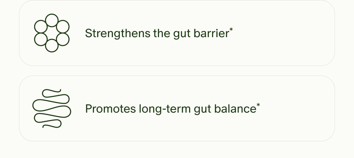 Strengthens the gut barrier* | Promotes long-term gut balance*