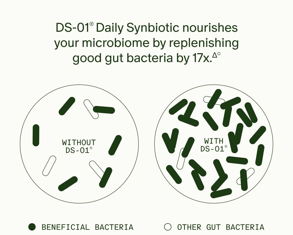 DS-01® Daily Synbiotic nourishes your microbiome by replenishing good gut bacteria by 17x.Δ° | WITHOUT DS-01® (BENEFICIAL BACTERIA) vs. WITH DS-01® (OTHER GUT BACTERIA)