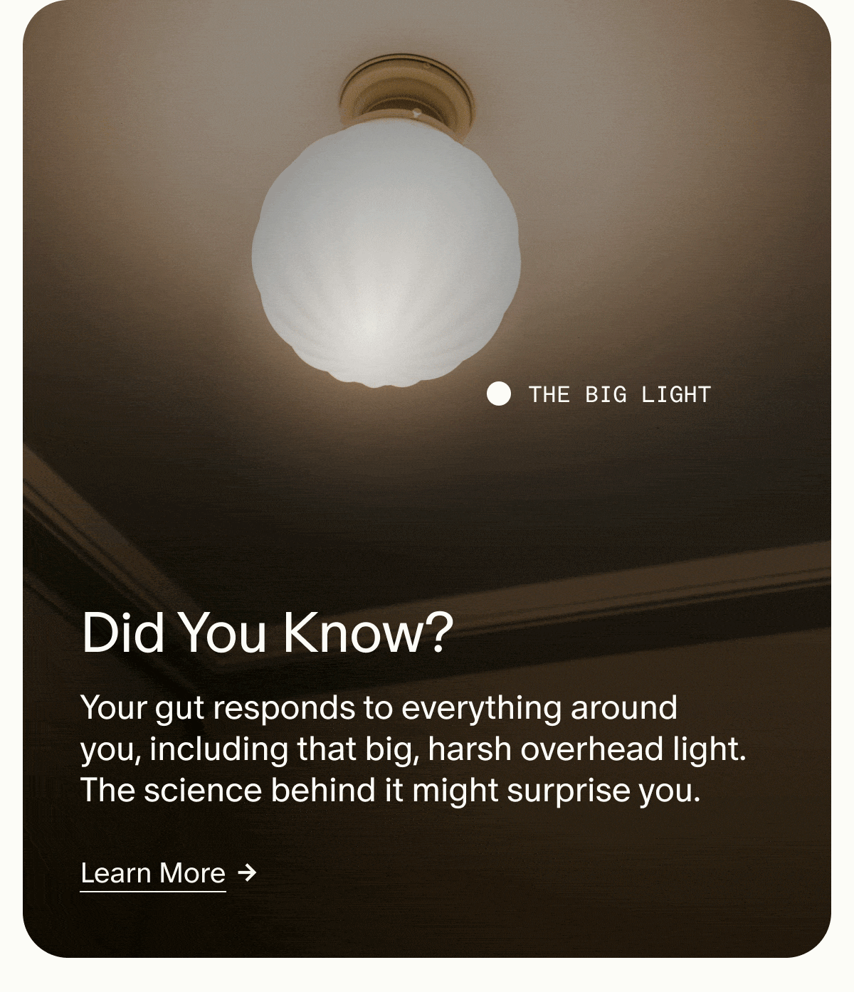 THE BIG LIGHT | Did You Know? | Your gut responds to everything around you, including that big, harsh overhead light. The science behind it might surprise you. | Learn More
