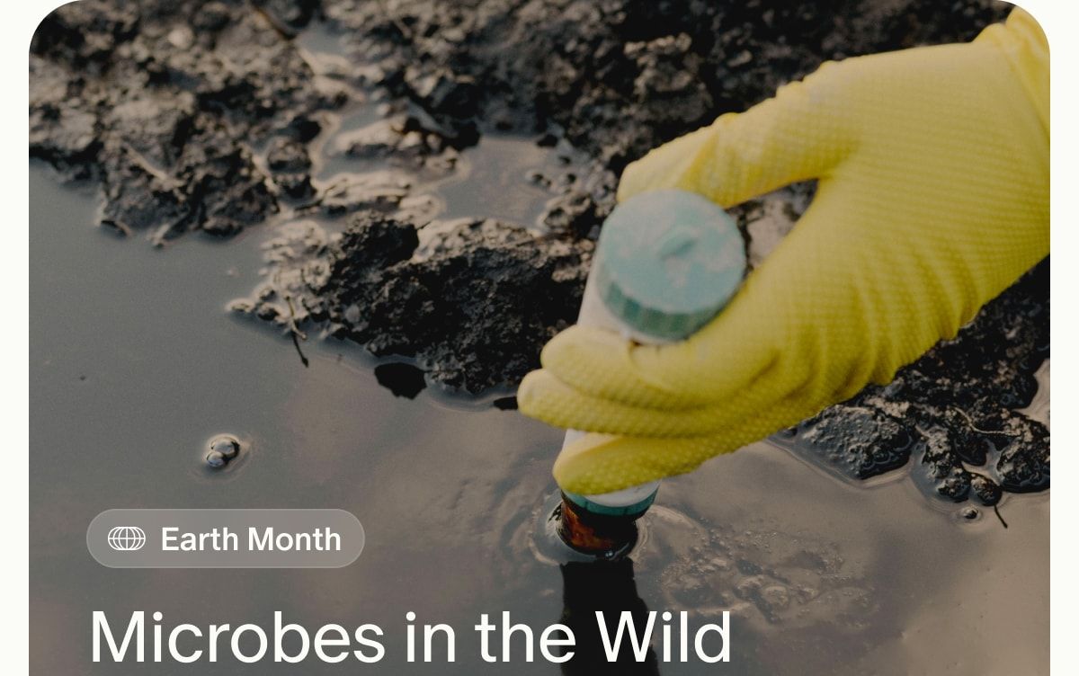 Earth Month | Microbes in the Wild