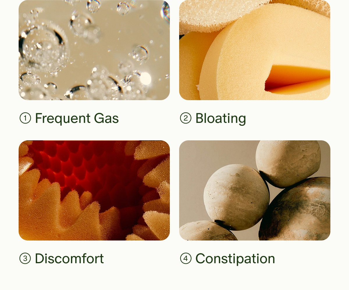 1 Frequent Gas | 2 Bloating | 3 Discomfort | 4 Constipation