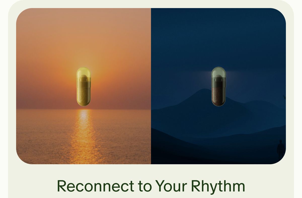 Reconnect to Your Rhythm