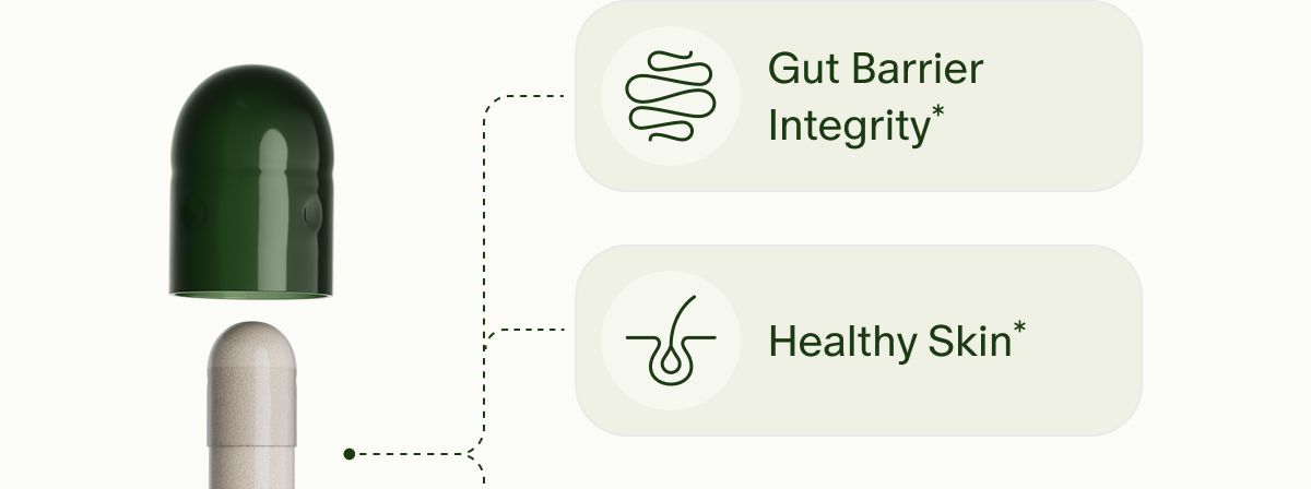 Gut Barrier Integrity* | Healthy Skin*