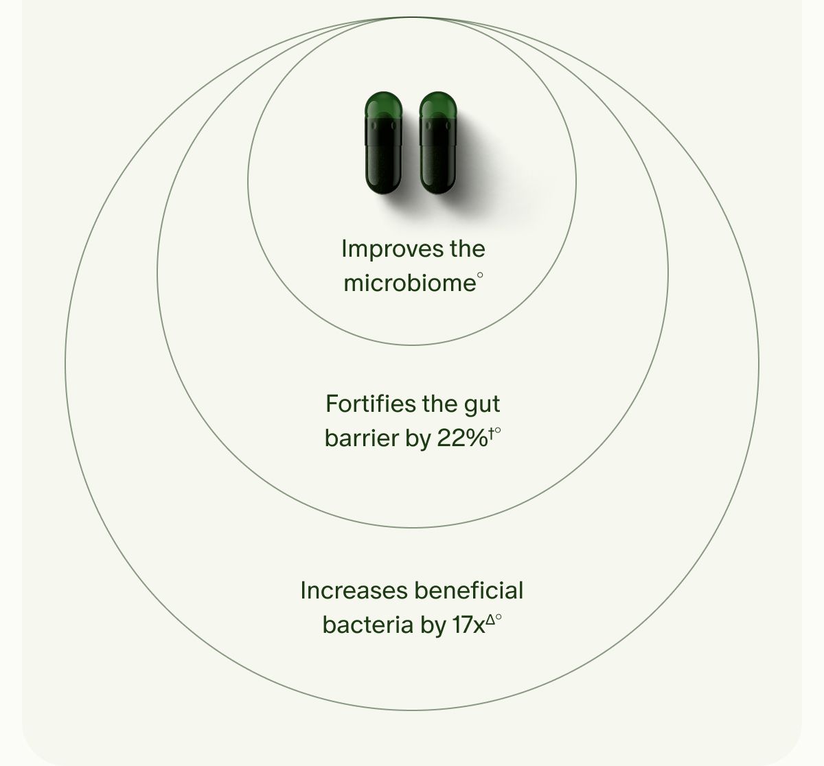 Improves the microbiome° | Fortifies the gut barrier by 22%†° | Increases beneficial bacteria by 17xΔ°