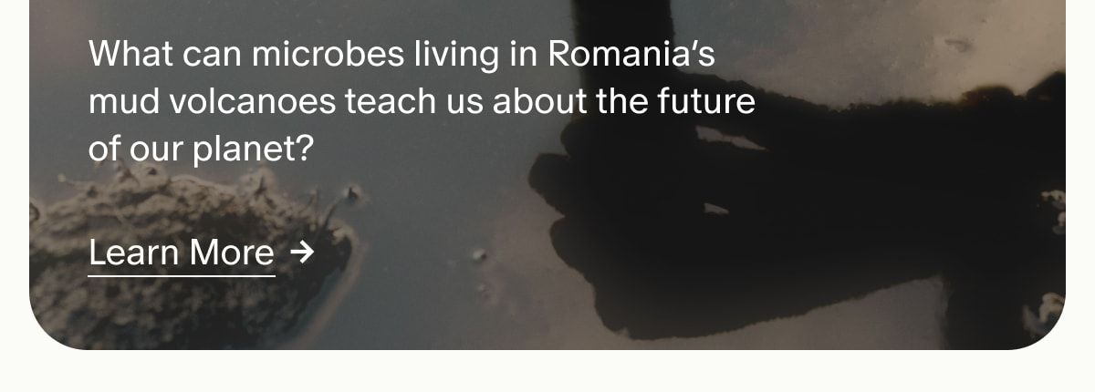What can microbes living in Romania’s mud volcanoes teach us about the future of our planet? | Learn More