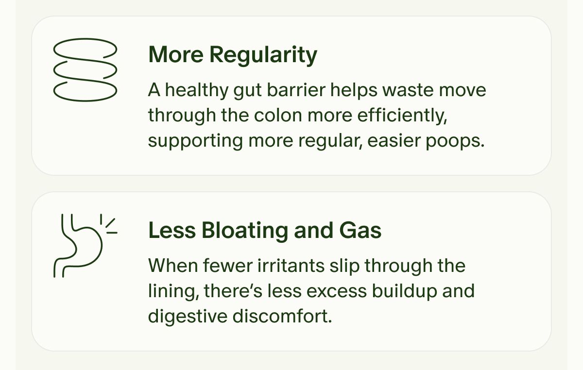 More Regularity | A healthy gut barrier helps waste move through the colon more efficiently, supporting more regular, easier poops. | Less Bloating and Gas | When fewer irritants slip through the lining, there’s less excess buildup and digestive discomfort.
