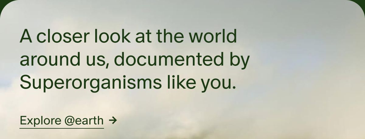 A closer look at the world around us, documented by Superorganisms like you. | Explore @earth