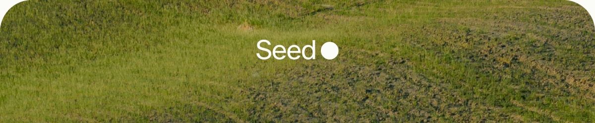 Seed