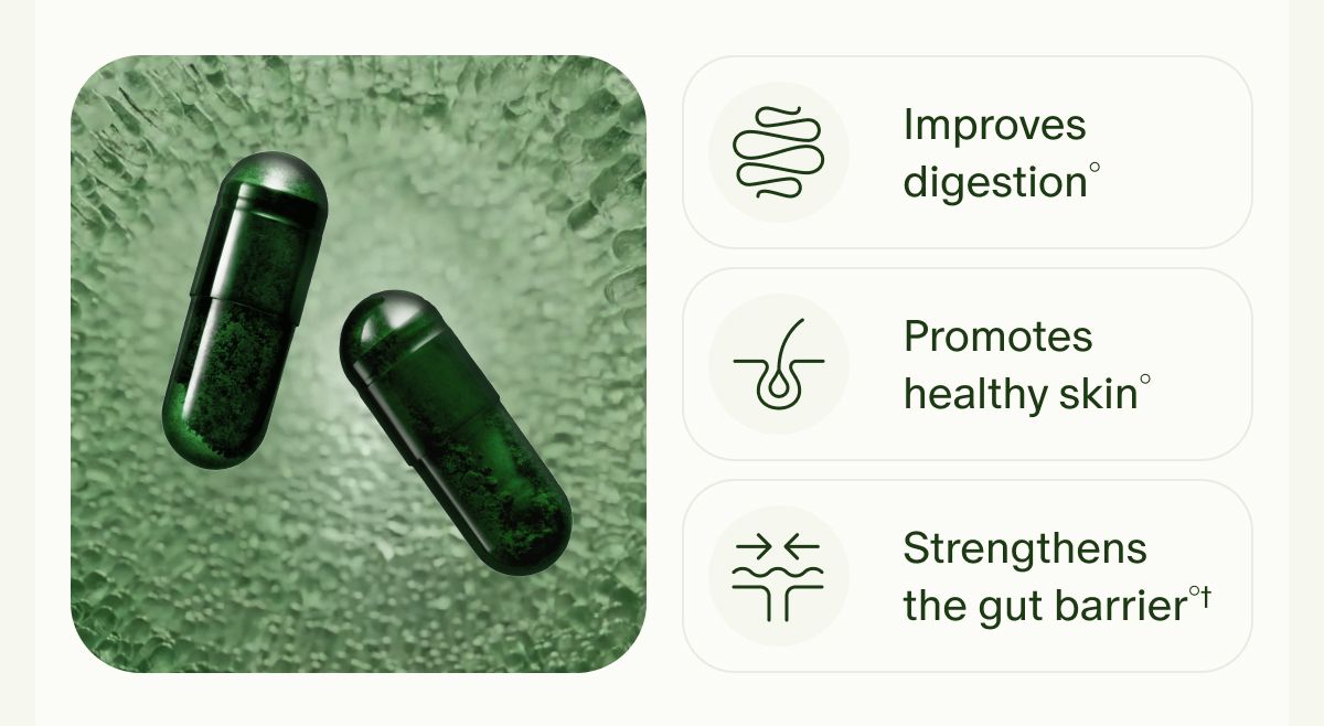 Improves digestion° | Promotes healthy skin° | Strengthens the gut barrier°†