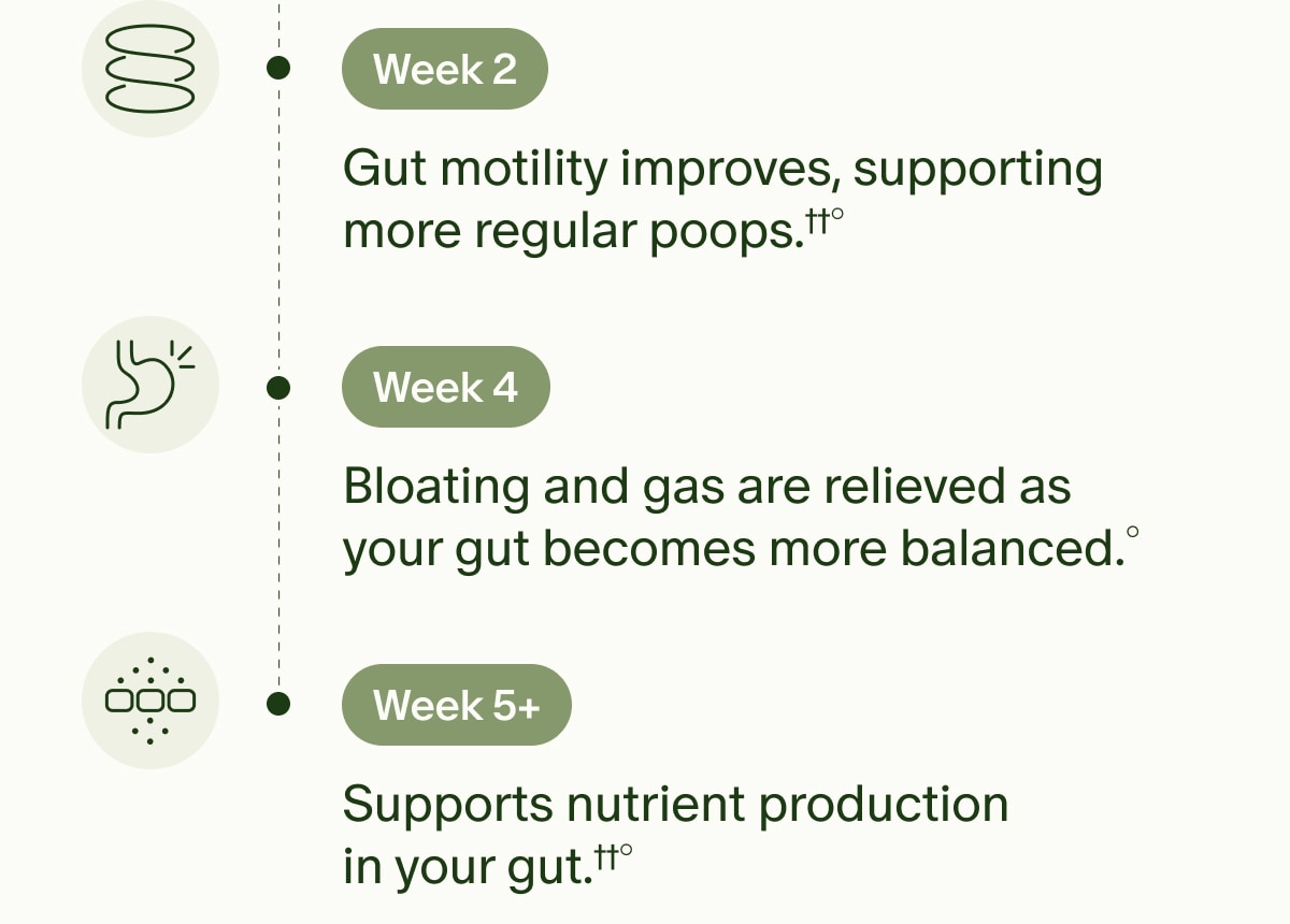 Week 2 | Gut motility improves, supporting more regular poops.††° | Week 4 | Bloating and gas are relieved as your gut becomes more balanced.° | Week 5+ | Supports nutrient production in your gut.††°