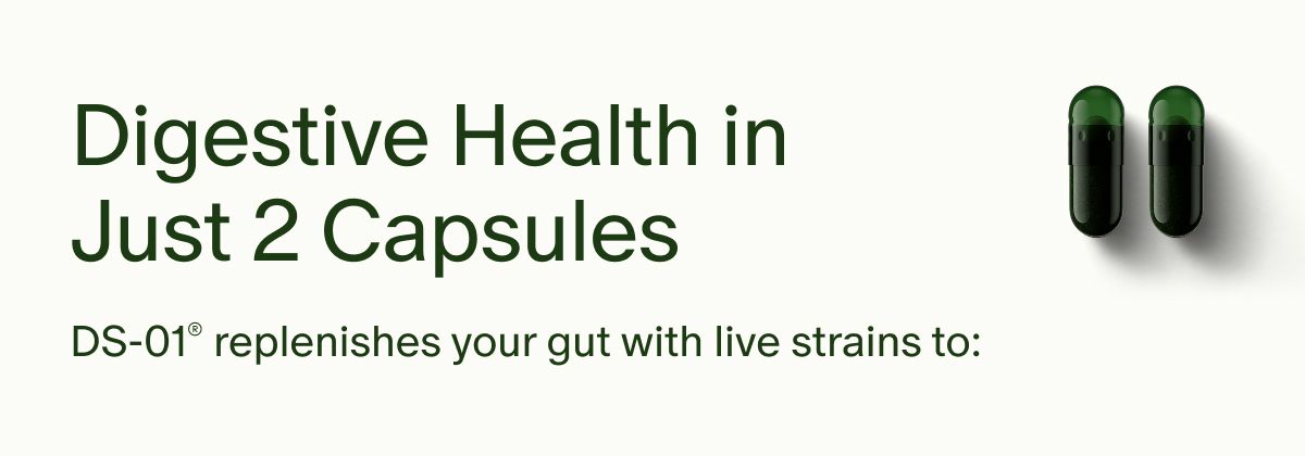 Digestive Health in Just 2 Capsules | DS-01® replenishes your gut with live strains to:
