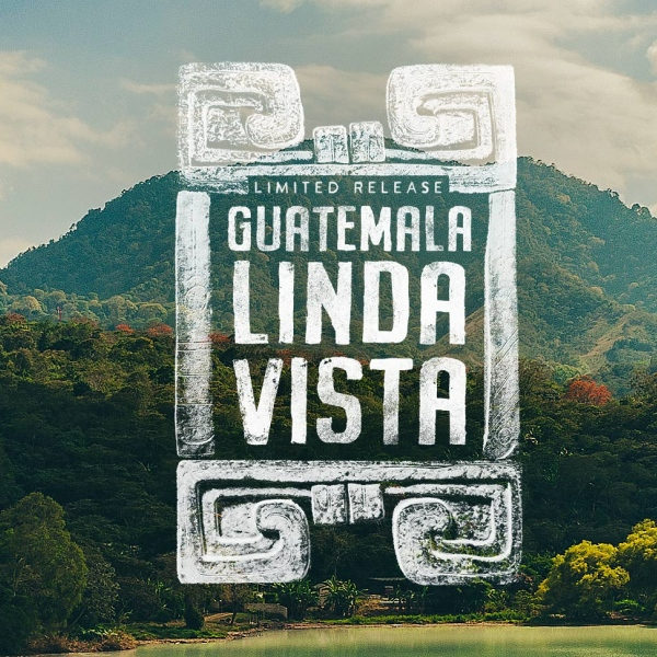 GUATEMALA LINDA VISTA—DARK ROAST