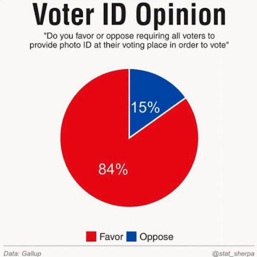 Voter ID Opinion
