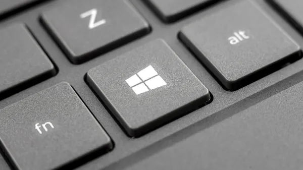 Windowsnwhstealer
