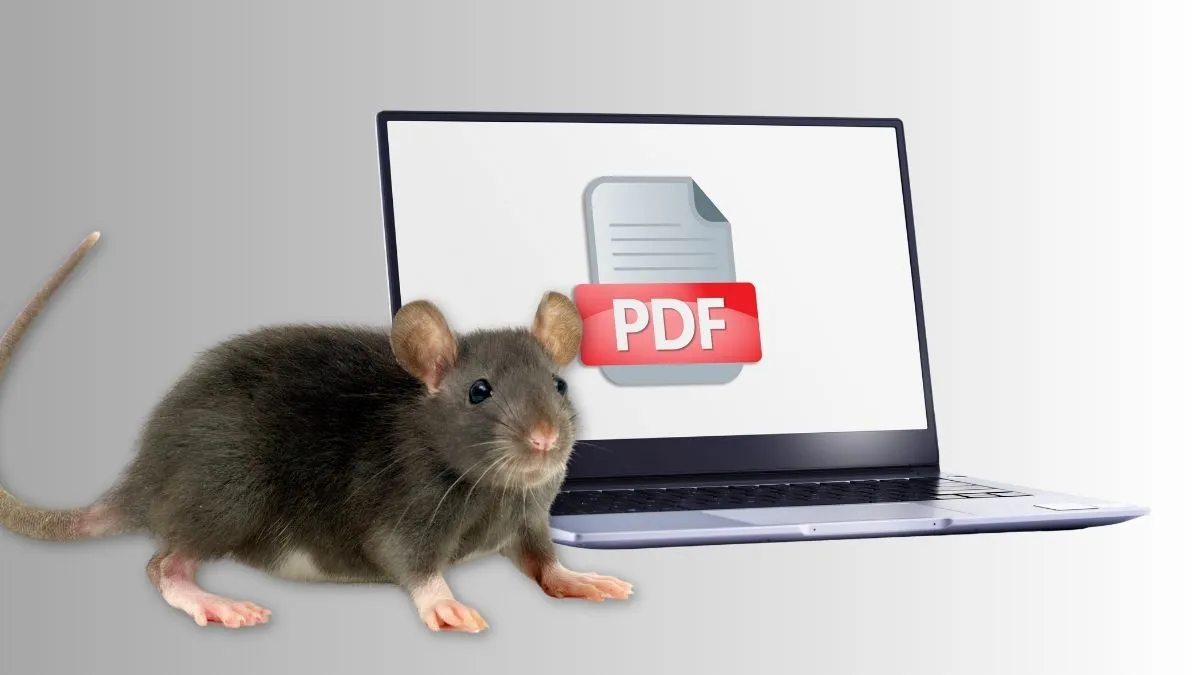 PDF_Rat