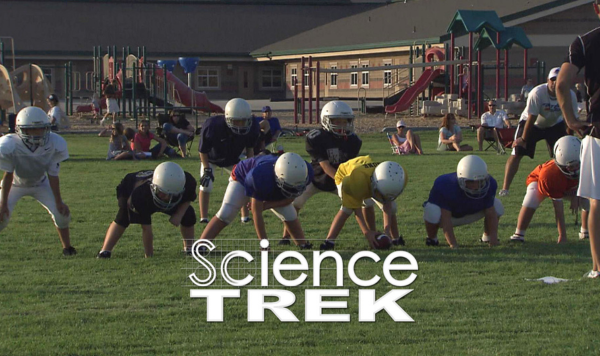 Sports Physiologists