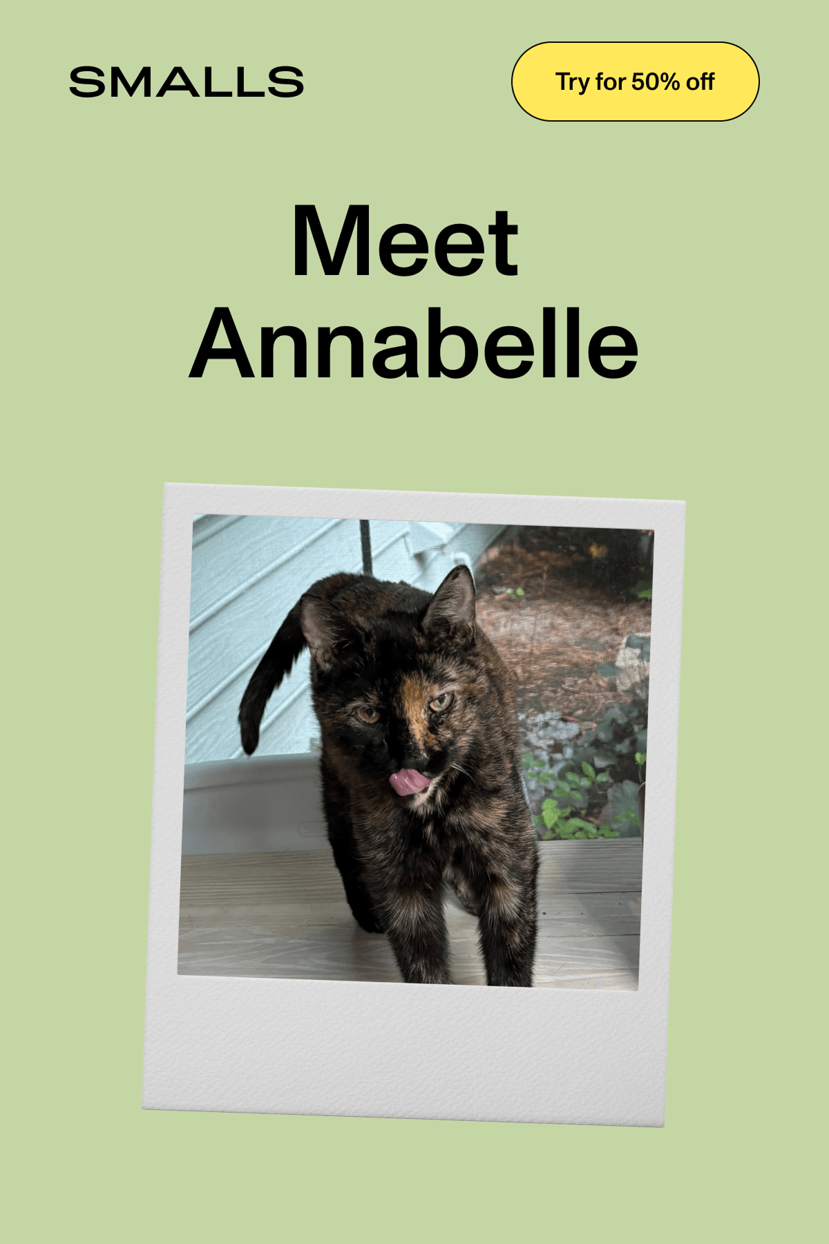 Smalls: Light green background with the headline 'Meet Annabelle' above a photo of Annabelle, a tortoiseshell cat, walking toward the camera licking her lips. A yellow button reads 'Try for 50% off'.
